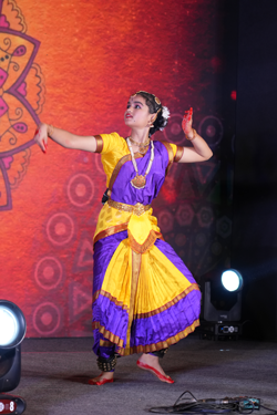 Culture snapshot